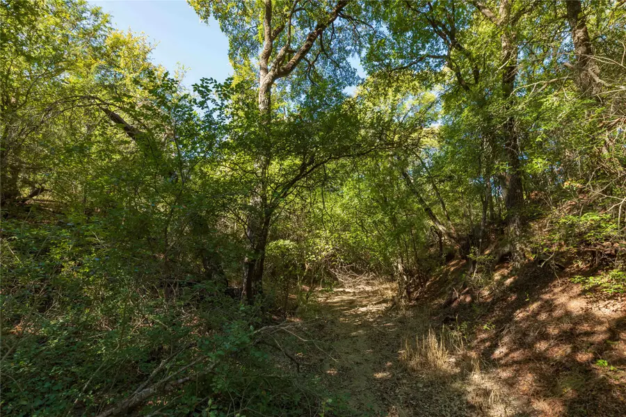 748 Cr 350, Dublin, TX 76446 - #2