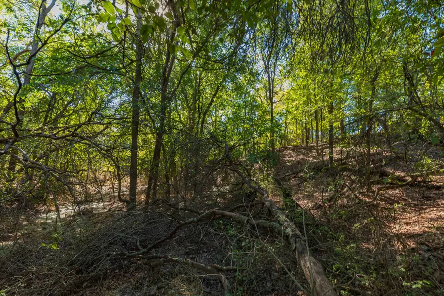 748 Cr 350, Dublin, TX 76446 - #3