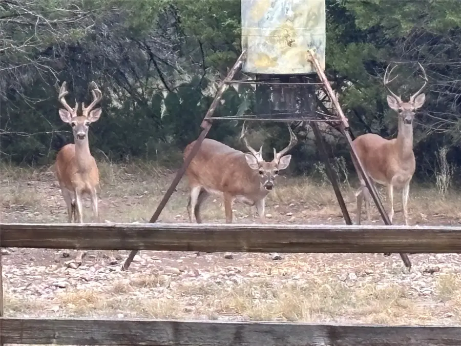 TBD Fm 3023, Goldthwaite, TX 76844 - #2