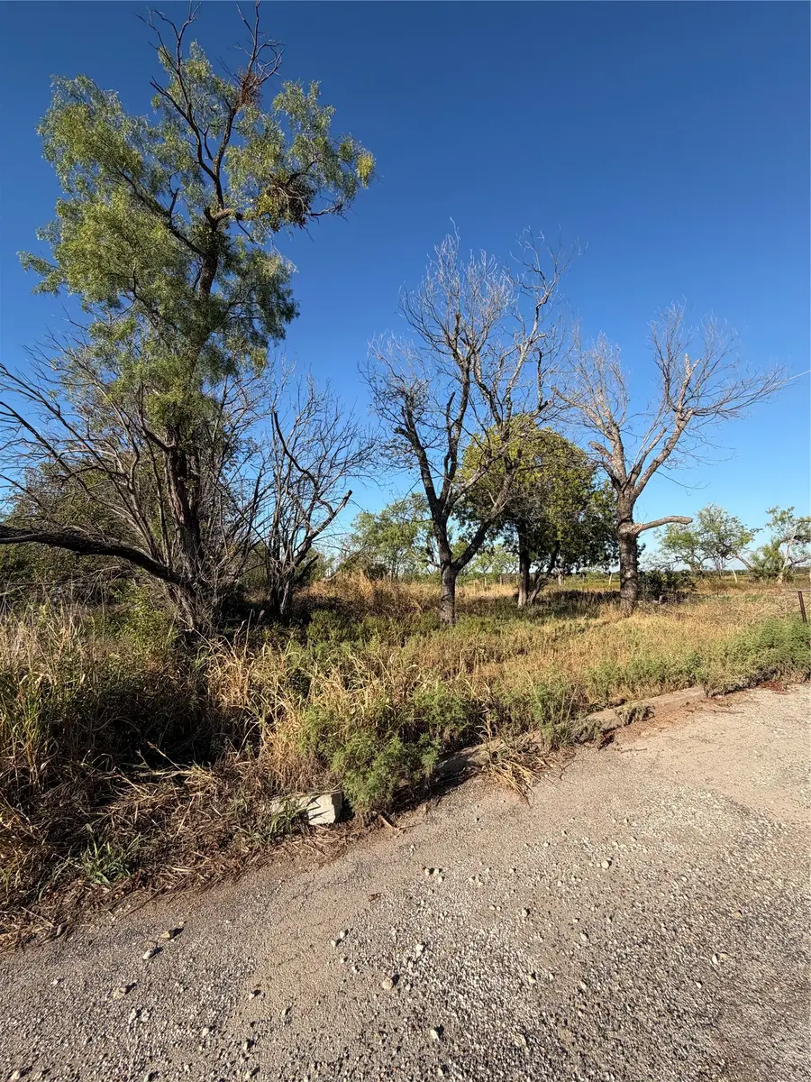 815 E 5th Street, Coleman, TX 76834 - #3