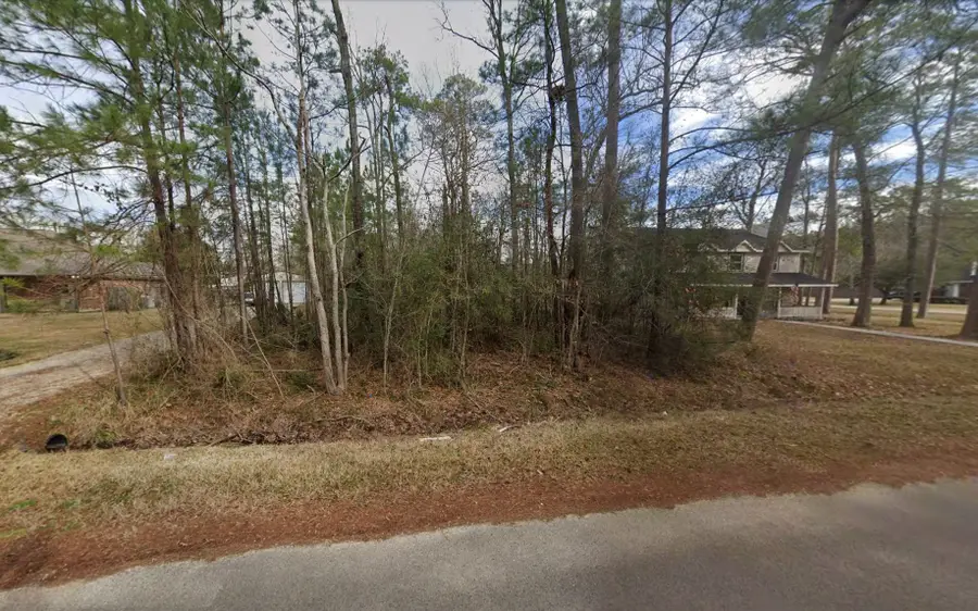 TBD Wood Lawn, Sour Lake, TX 77659 - #2