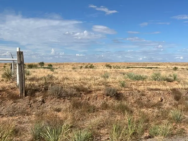 TBD County Rd 412, Roby, TX 79543 - #2