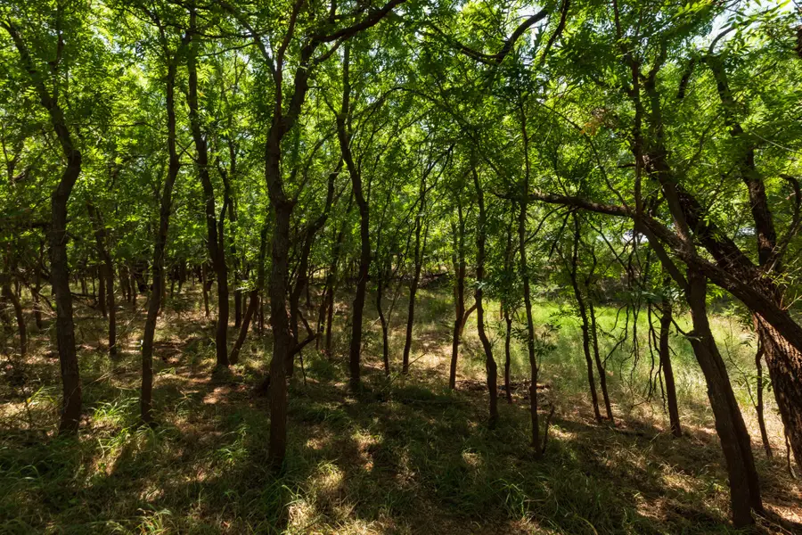 9000 Private Road 496, Hawley, TX 79525 - #3