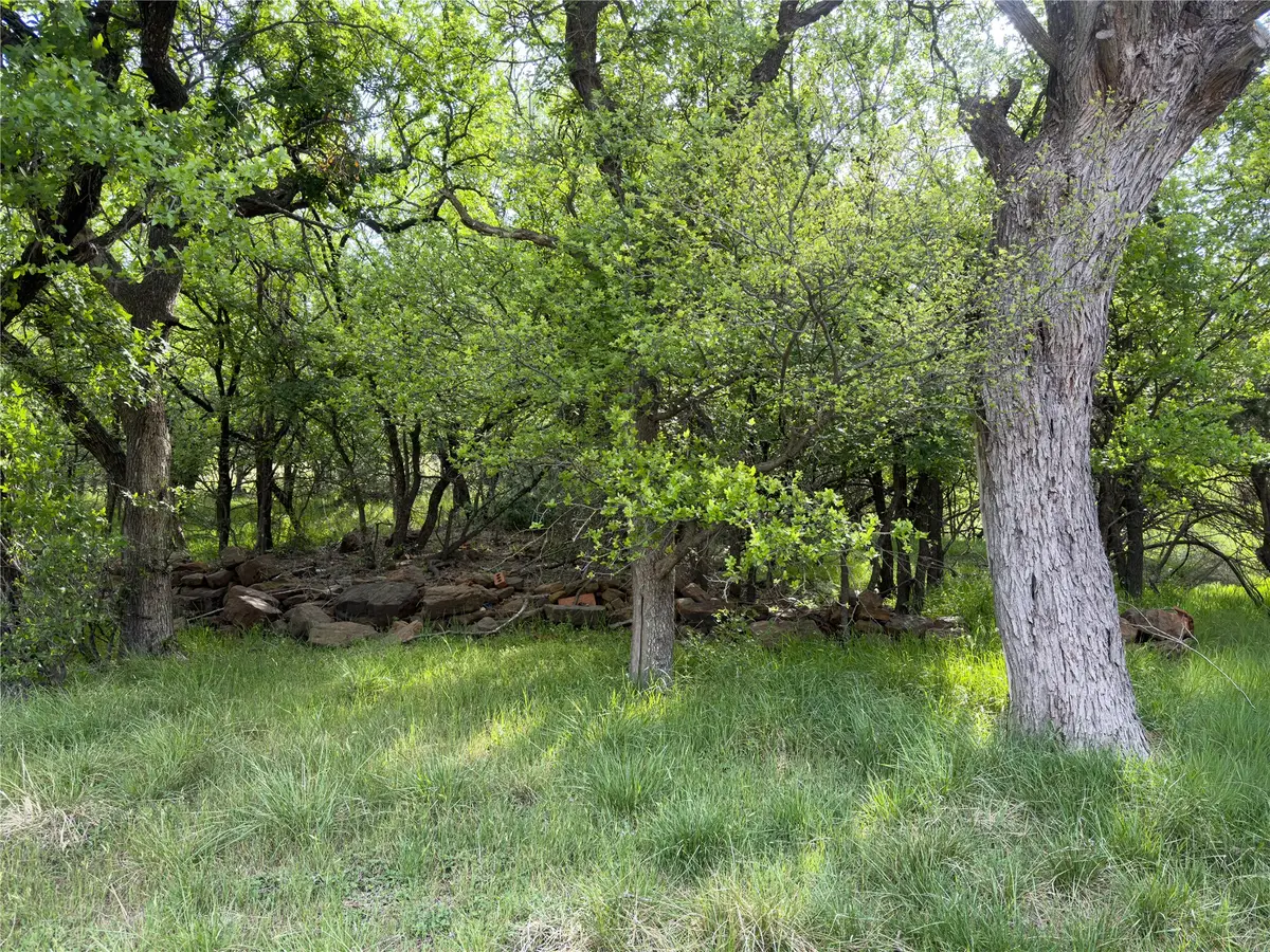 00 NE 9th Avenue, Mineral Wells, TX 76067 - #1