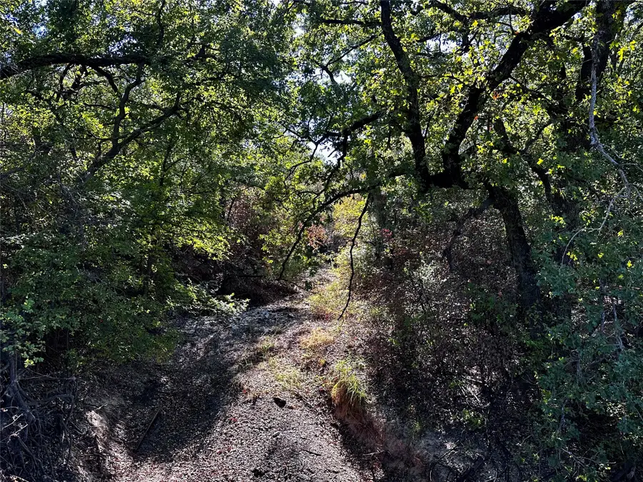 TBD CR 434 County Road 434, Dublin, TX 76446 - #2