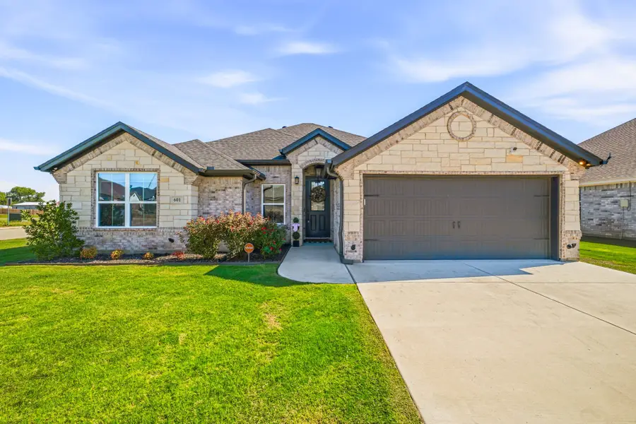 601 Violet Drive, Tolar, TX 76476 - #3