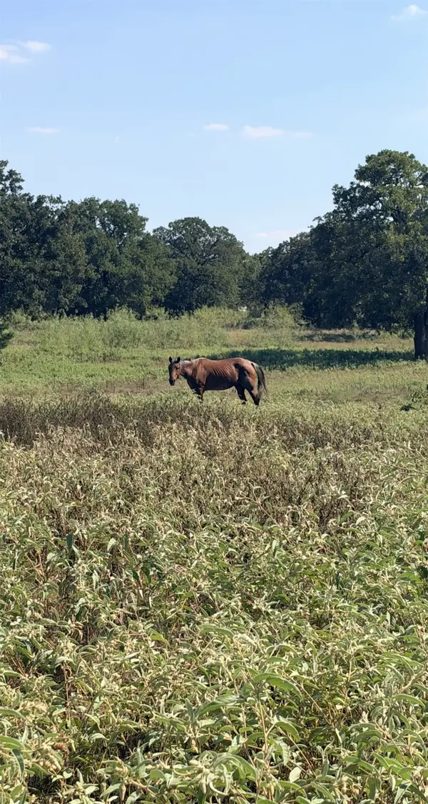 5908 County Road 608, Burleson, TX 76028