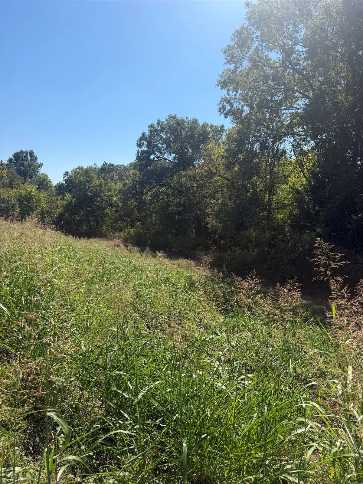 0 Hwy 71, Blanchard, LA 71107 - #1