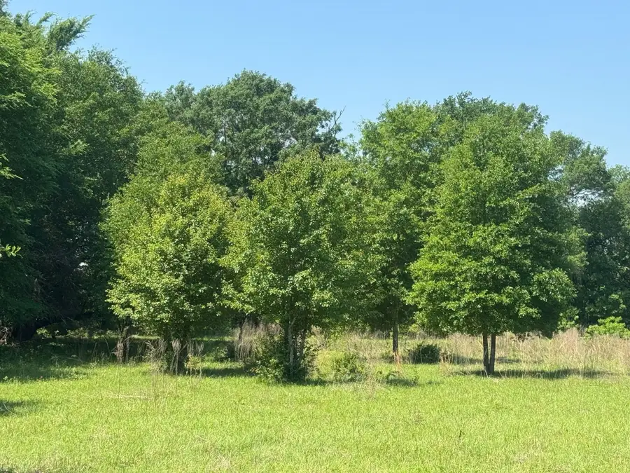 0 S Us-79 Highway, Palestine, TX 75801 - #3