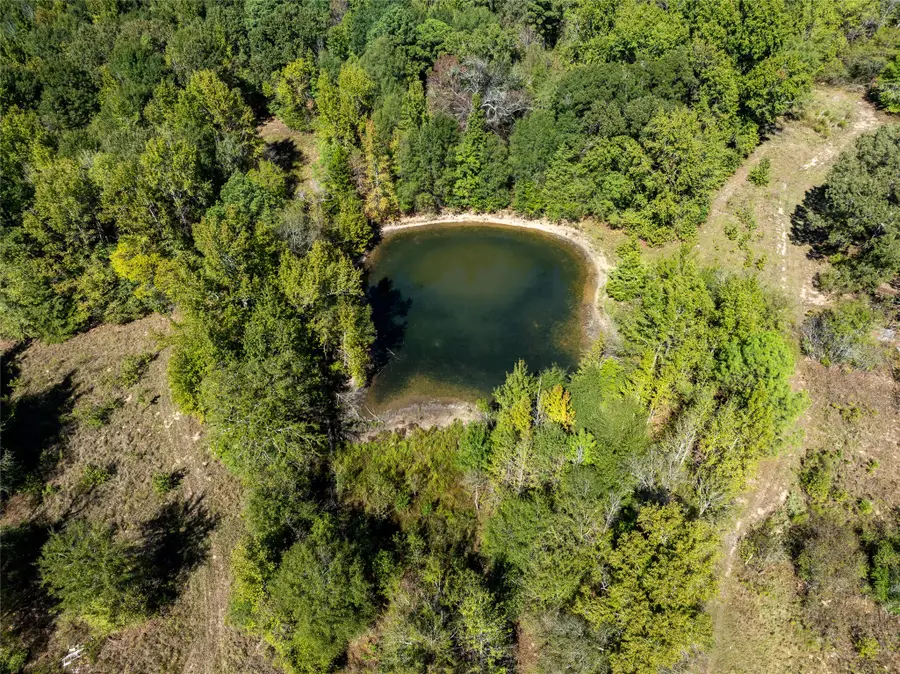 2937 County Road 2356, Detroit, TX 75436 - #3