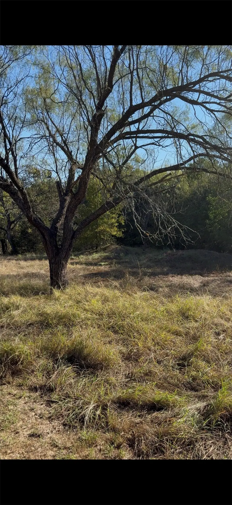 4900 Contrary Creek Road, Granbury, TX 76048 - #3
