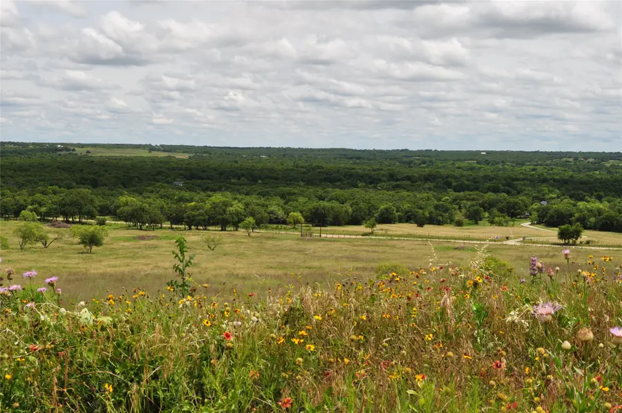 TBD C Two Bush Road, Perrin, TX 76486 - #3