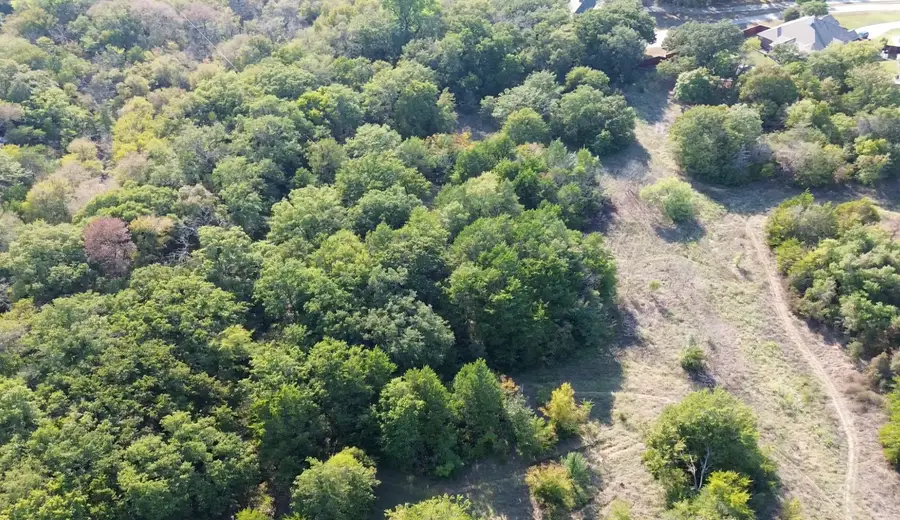 00 Briarwood, Lake Dallas, TX 75065 - #2
