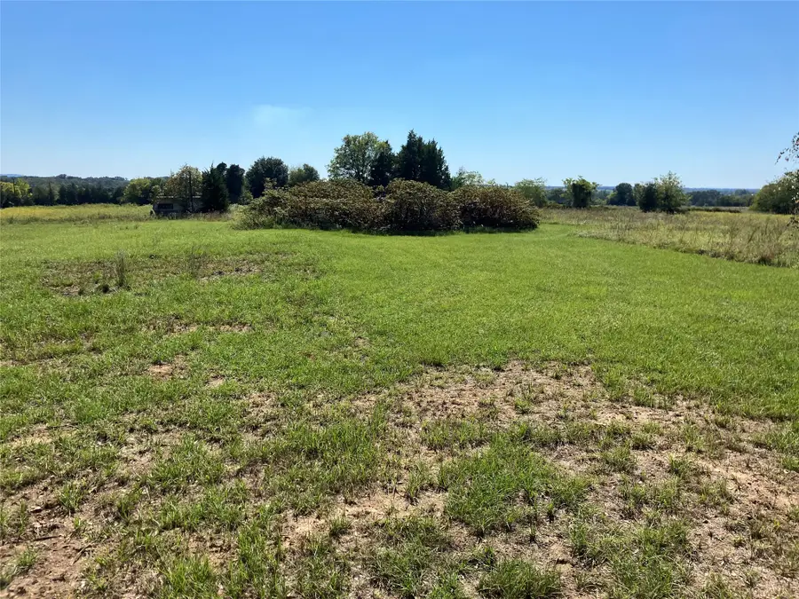 TBD County Road 2311, Canton, TX 75103 - #2