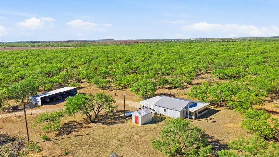 3983 N 183 Highway, Woodson, TX 76491 - #2