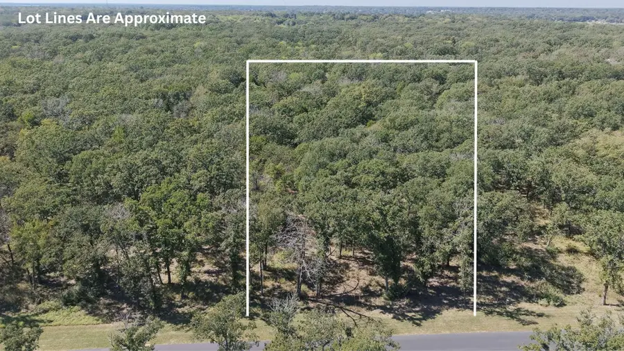 6923 Lakeshore Way, Malakoff, TX 75148 - #2