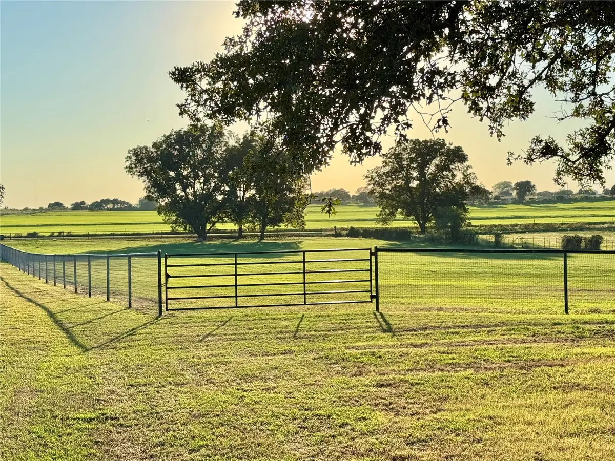 6101 Wild Cat Knob Road, Tolar, TX 76476 - #1