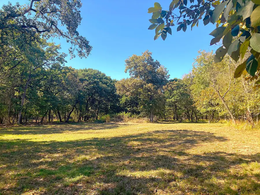 8840 Timber Ridge, Larue, TX 75770 - #3