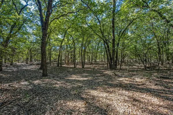 TD Pearce Street, Collinsville, TX 76233