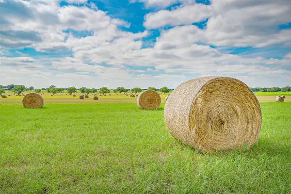 Lot 2 TBD Orchard Road, Bowie, TX 76230
