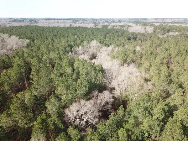 00 Off Countree Road, Zwolle, LA 71486