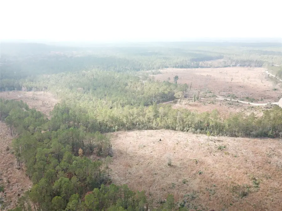 00 County Road 2845, Colmesneil, TX 75938 - #2
