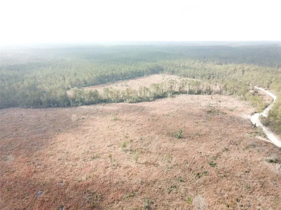 00 County Road 2845, Colmesneil, TX 75938 - #3