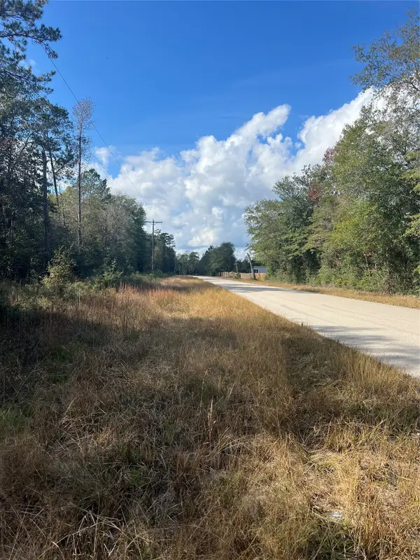 00 Gore Store Road, Kountze, TX 77663