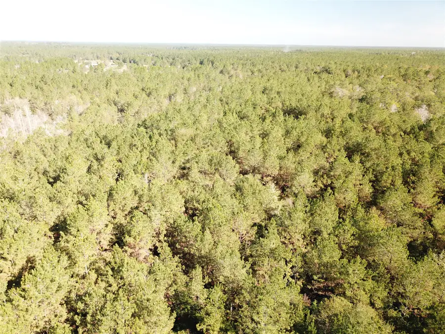 00 Hunting Lodge Road, Kountze, TX 77625 - #2
