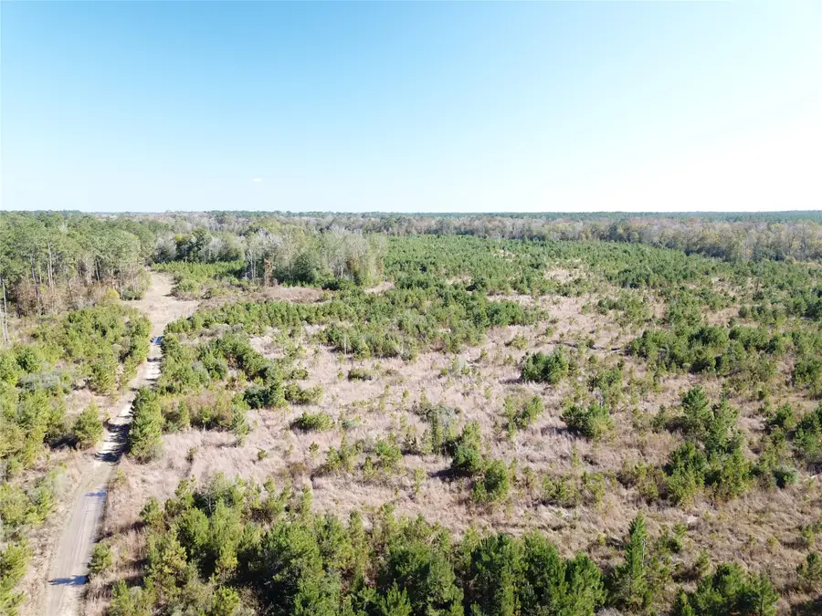 00 Fm 770, Kountze, TX 77625 - #2