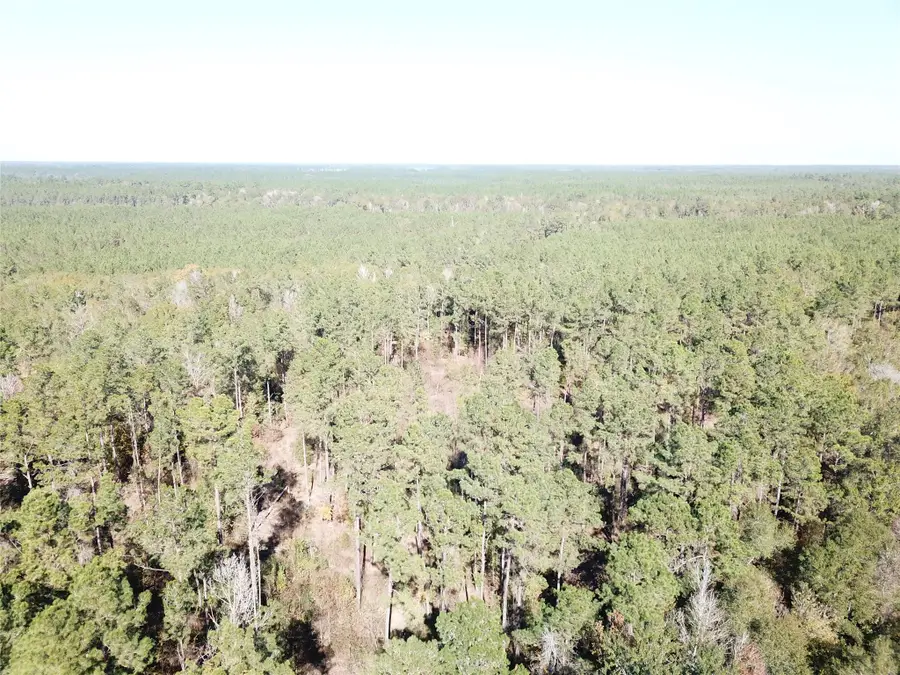 00 Fm 770, Kountze, TX 77625 - #3