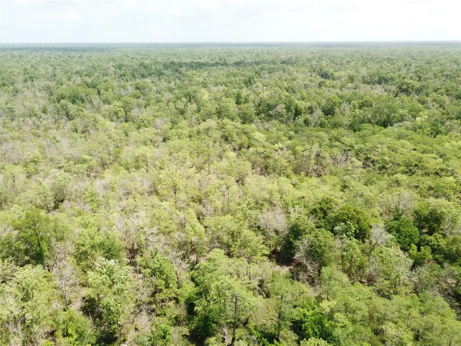 00 Indian Lake Road, Orange, TX 77614 - #2