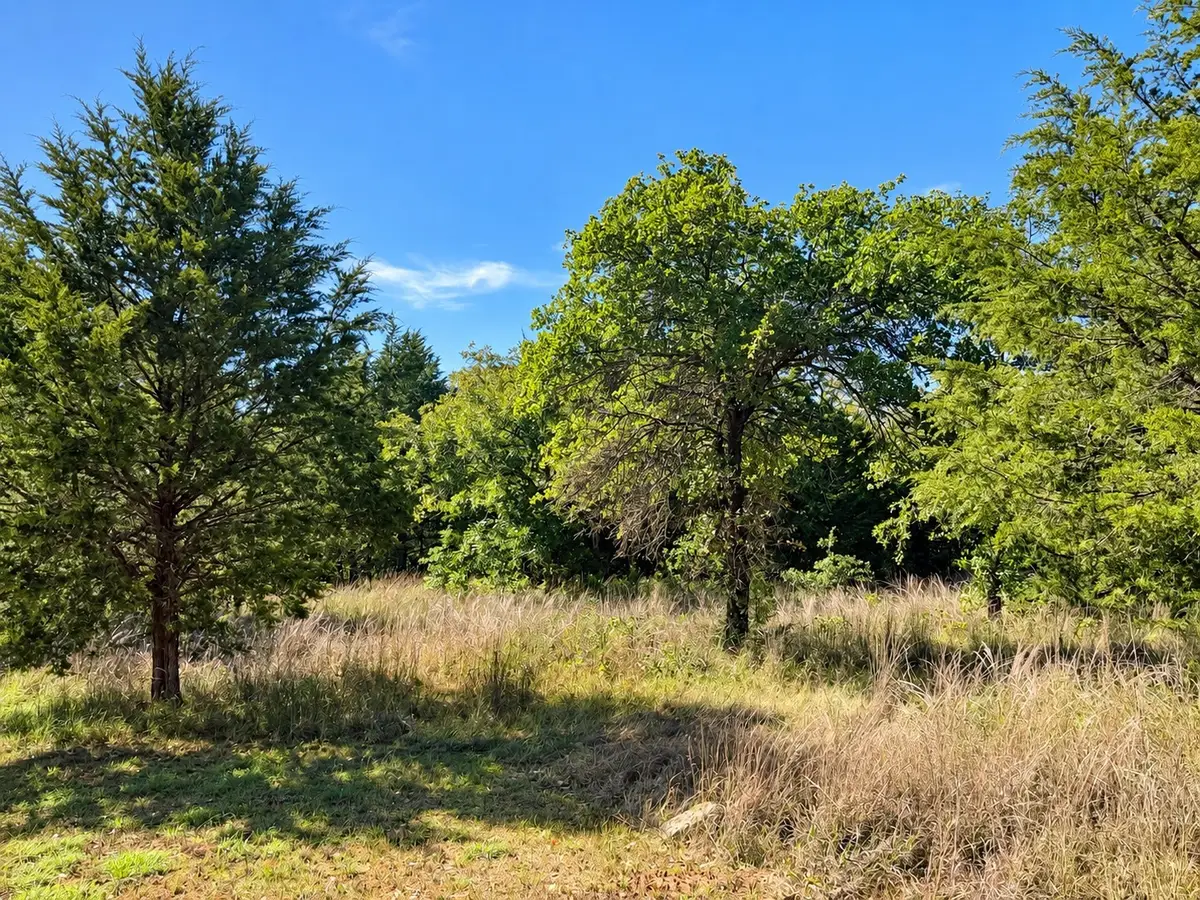 TBD Pear Street, Bowie, TX 76230 - #1