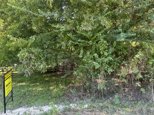 LAKEVIEW ST Lakeview St, Whitney, TX 76692