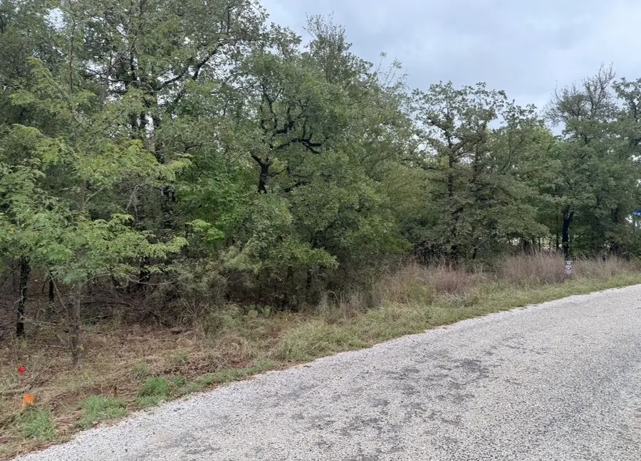 207 Lindsey Lane, Runaway Bay, TX 76426 - #3