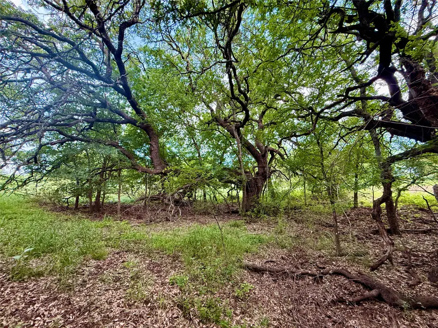 417 Cr 415, Comanche, TX 76442 - #2