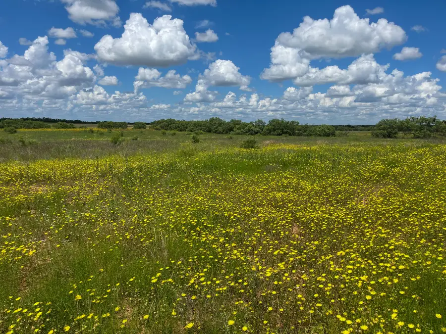2035 Cr 448, Rochelle, TX 76827 - #2
