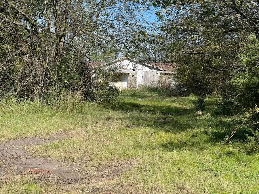 TBD Farm Road 900 N, Saltillo, TX 75478 - #2
