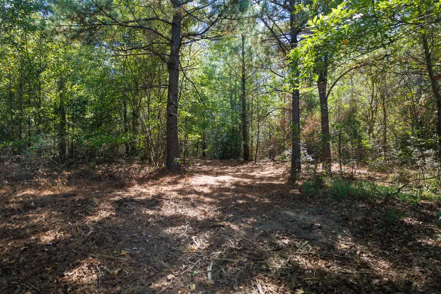 TBD Peach #1, Gilmer, TX 75755 - #3