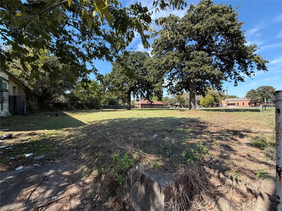 3915 Malcolm X Boulevard, Dallas, TX 75215 - #2