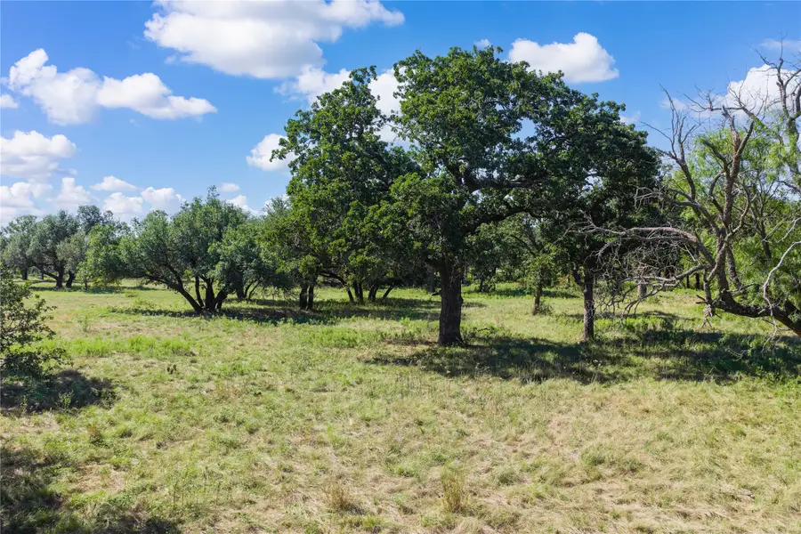 TBD County Road 309, Eastland, TX 76448 - #2