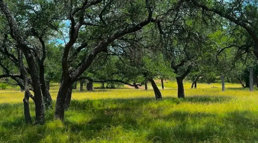 Lot 26 Swiss Ranch Rd, Round Mountain, TX 78663 - #2