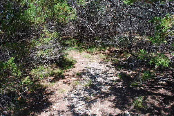 11030 Juniper Drive, Whitney, TX 76692