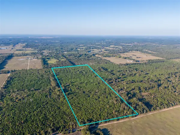 TBD S County Road 2242 #Tract 2, Bagwell, TX 75412