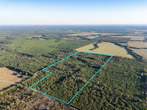 TBD S County Road 2242 #Tract 3, Bagwell, TX 75412
