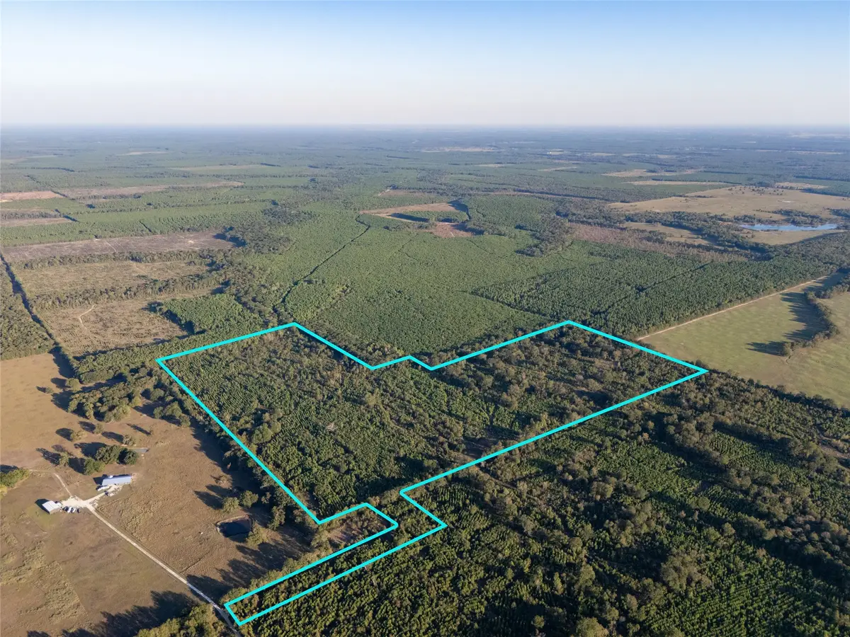 TBD S County Road 2242 #Tract 4, Bagwell, TX 75412 - #1