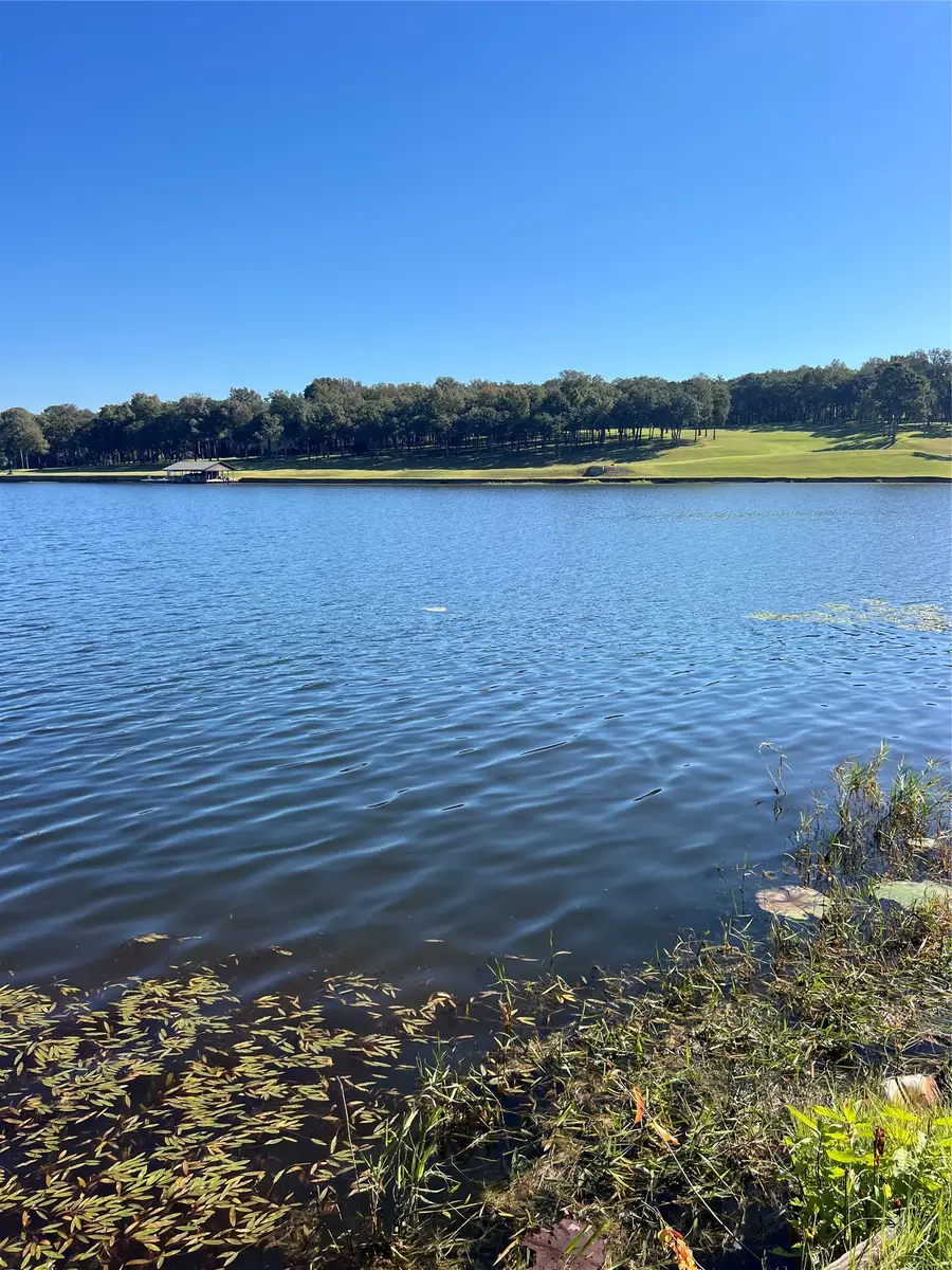 3723 County Road 4806, Athens, TX 75752 - #3
