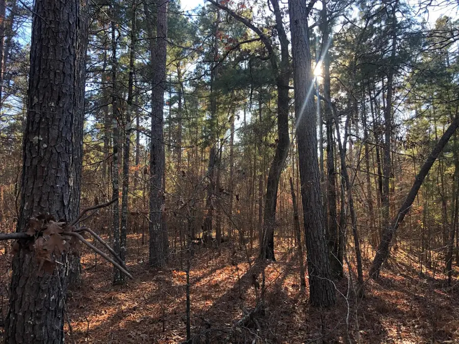 0 Highway 160, Plain Dealing, LA 71064 - #2