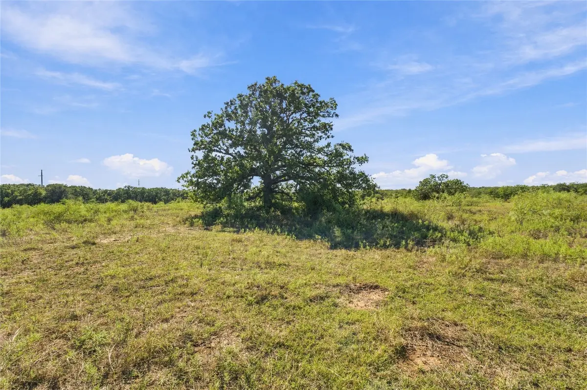 Tract 8 County Road 3671, Paradise, TX 76073 - #1