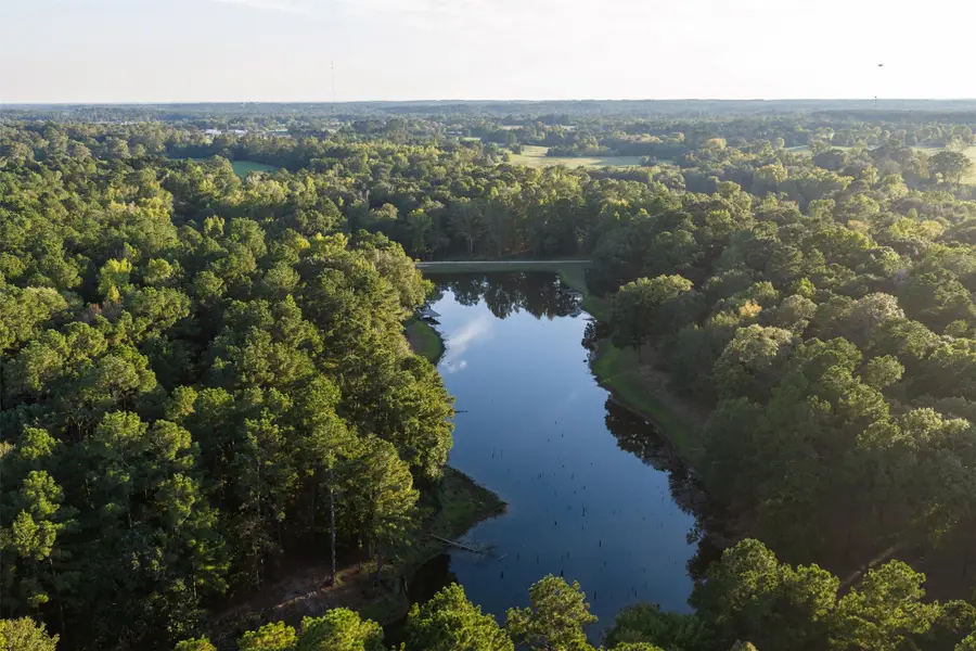 1309 County Road 2619, Alto, TX 75925 - #2